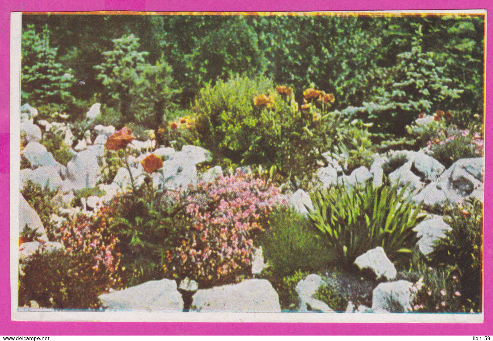 291551 / Bulgaria - A Corner Of The Rock Garden , Vue De L'alpineum Postcard PC Bulgarie Bulgarien Bulgarije - Collections & Lots