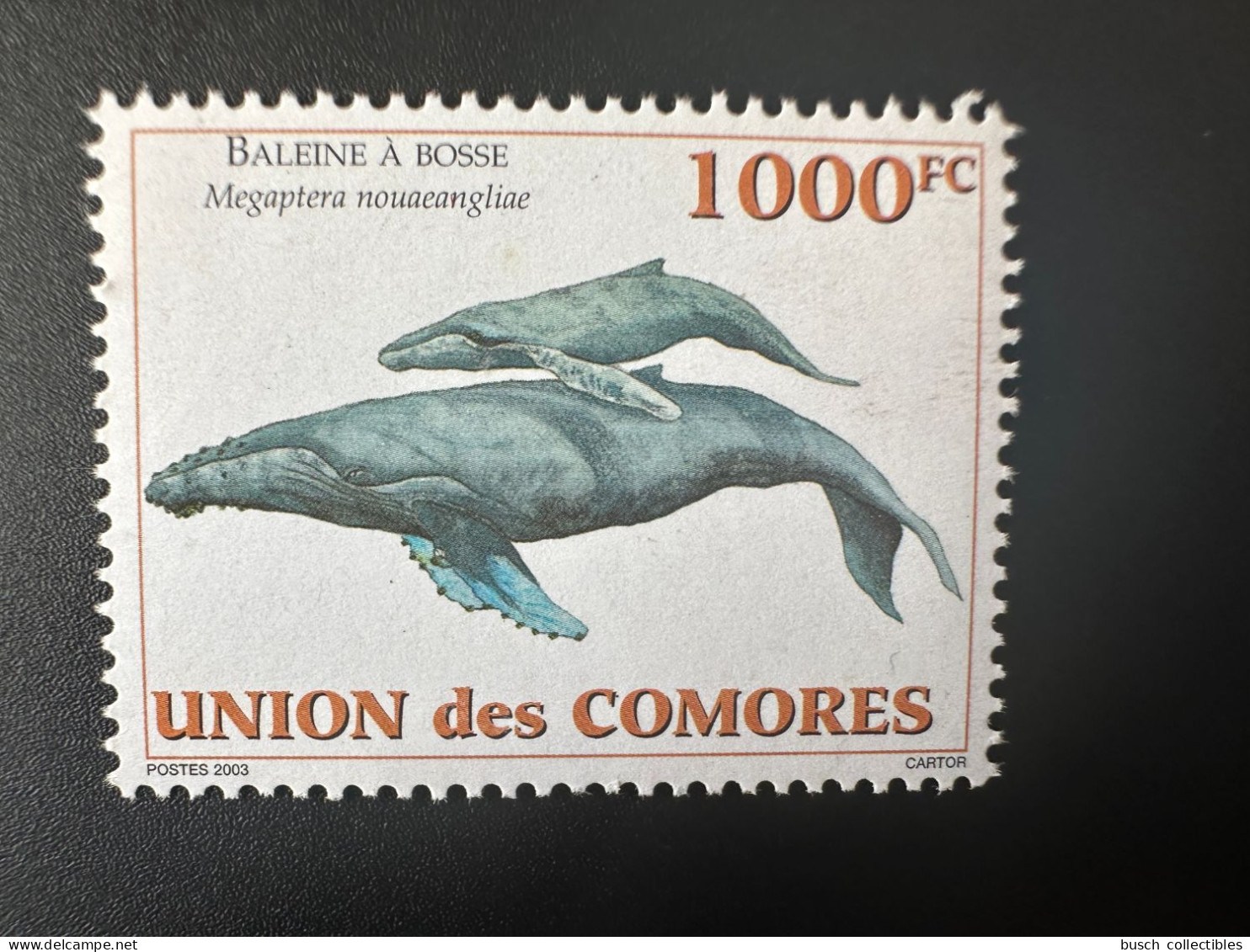 Comores Comoros Komoren 2003 Mi. 1794 Baleine à Bosse Whale Wal Megaptera Nouaeangline Faune Marine Fauna - Comoren (1975-...)