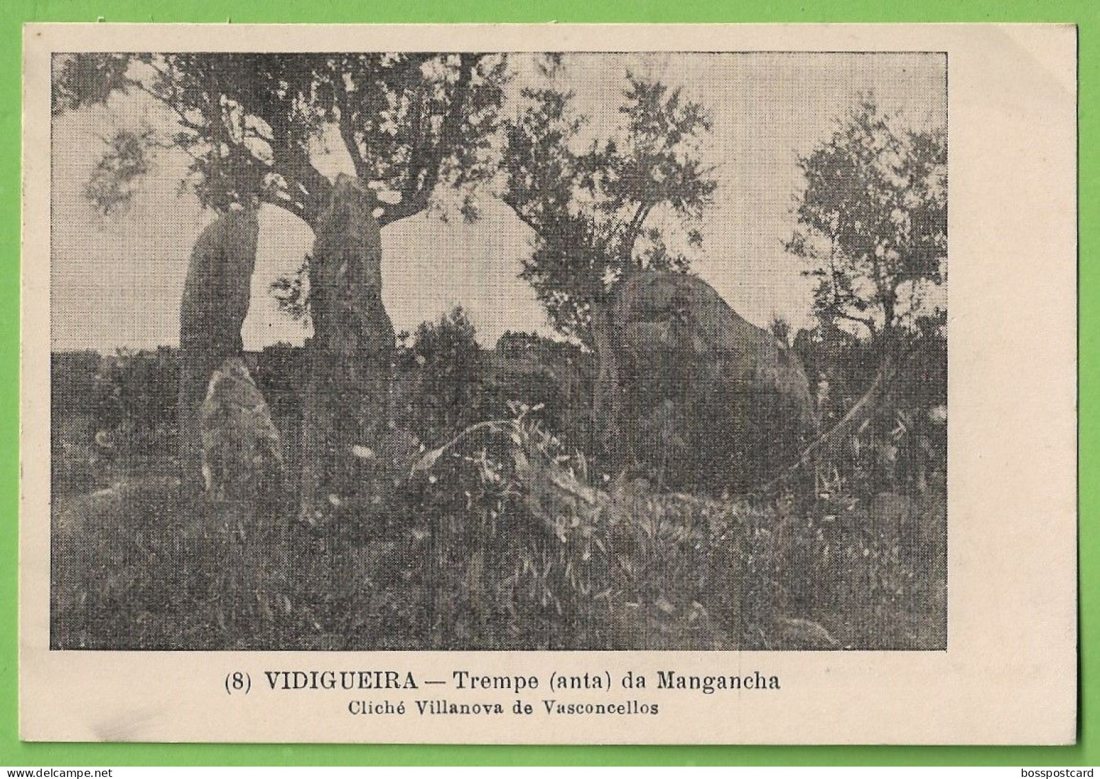 Vidigueira - Trempe (Anta) Da Mangancha. Beja. Portugal. - Beja