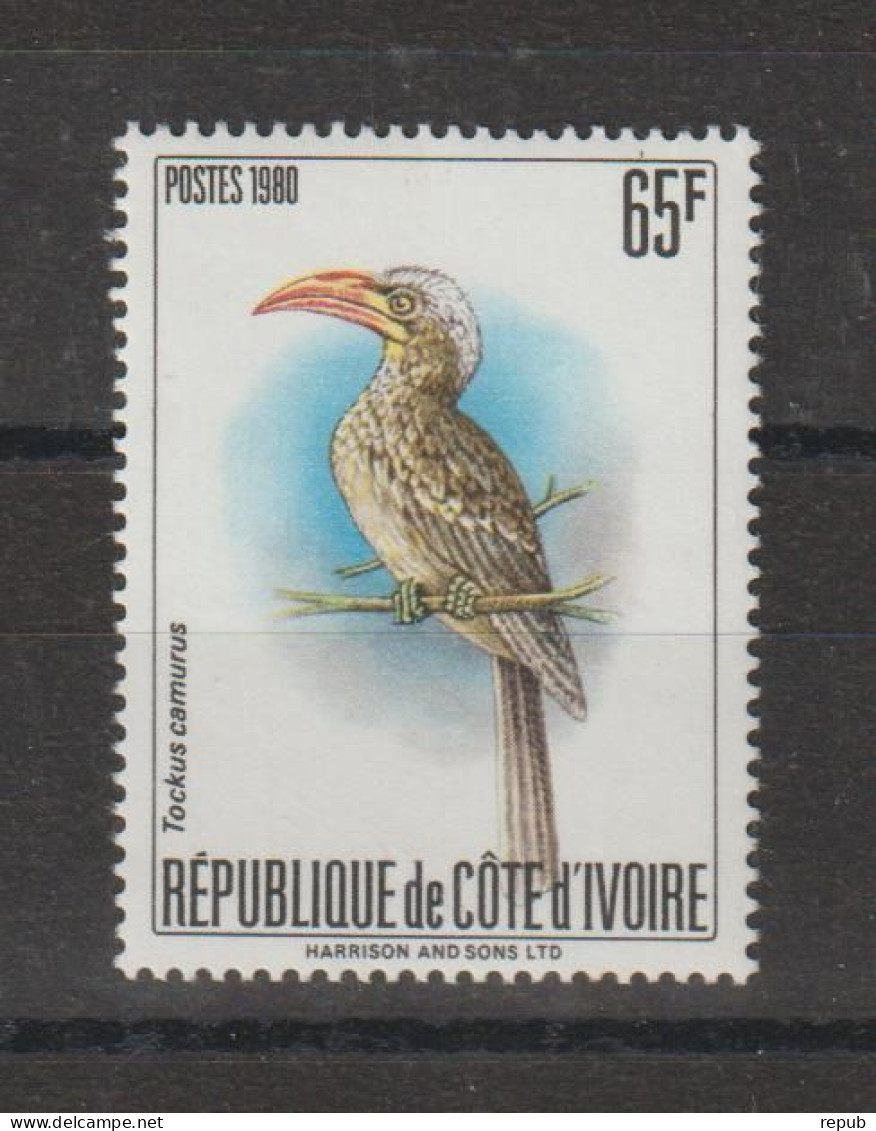 Cote D'Ivoire 1980 Oiseaux Yvert 565B, 1 Val ** MNH - Côte D'Ivoire (1960-...)