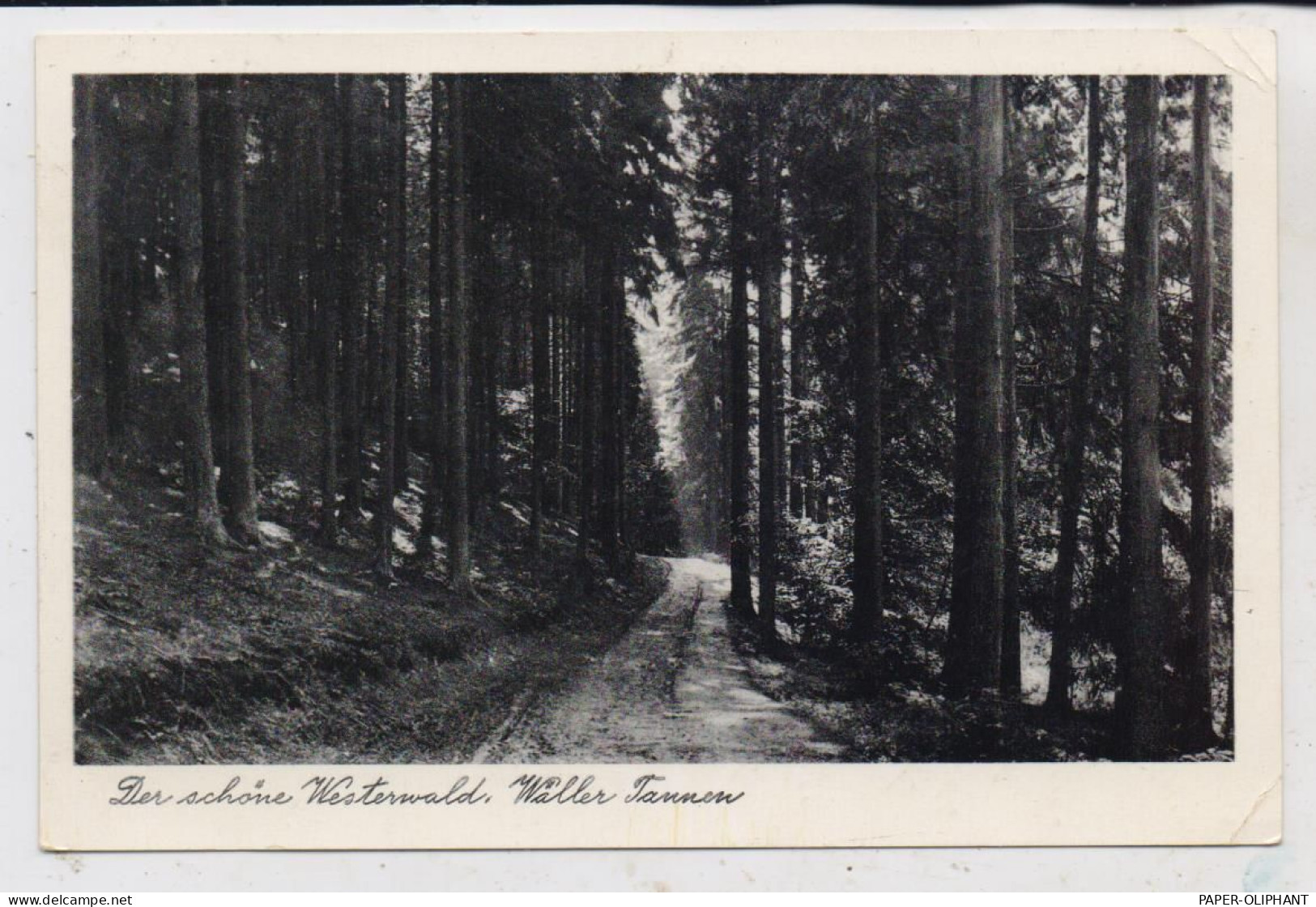 5439 BAD MARIENBERG - UNNAU - STANGENROD, Postgeschichte, Landpoststempel, 1954 - Bad Marienberg