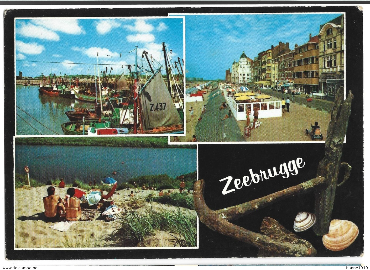 Zeebrugge Foto Prentkaart Vissersboot Z.437 Htje - Zeebrugge