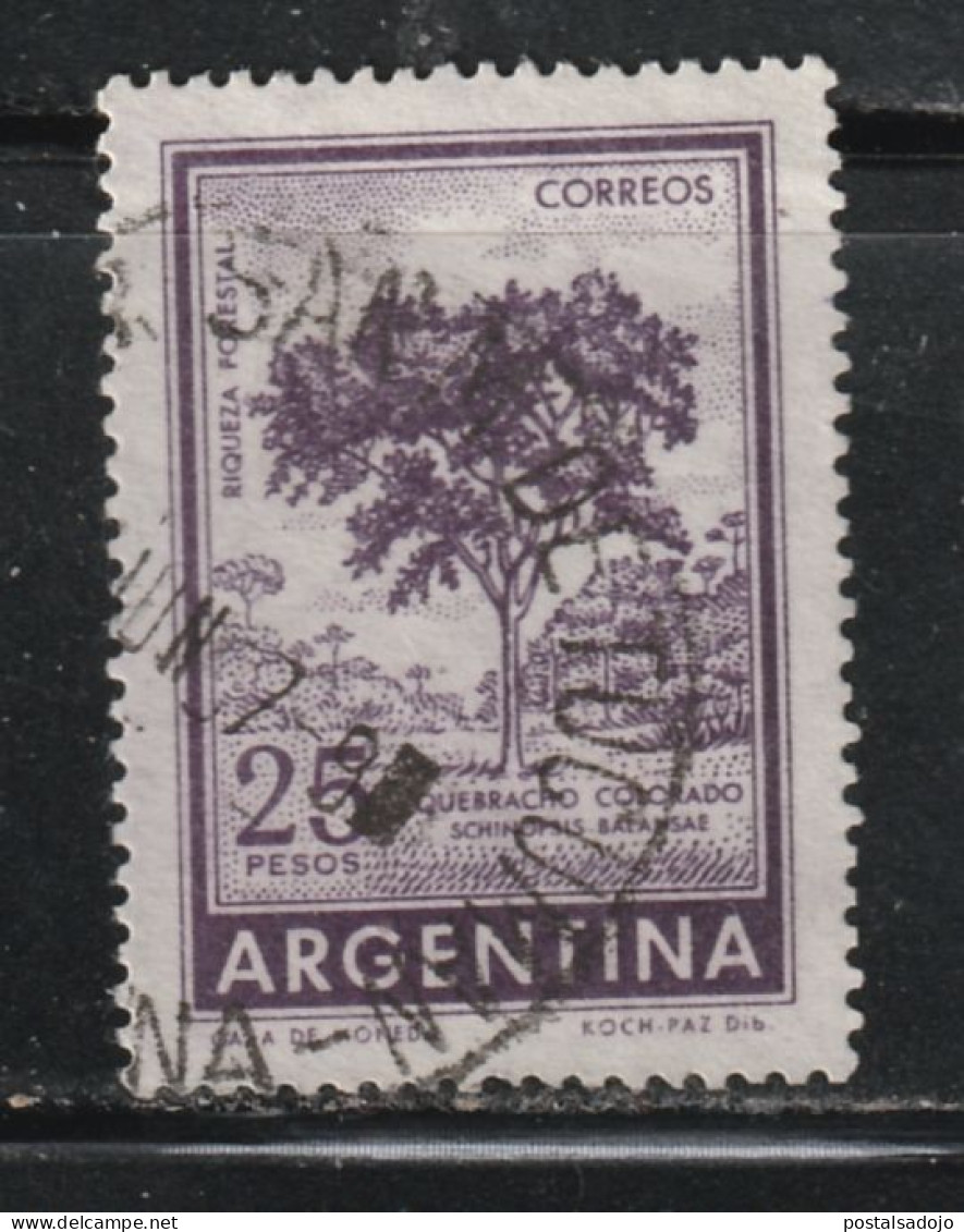 ARGENTINE  1542 // YVERT 733 // 1966 - Usati