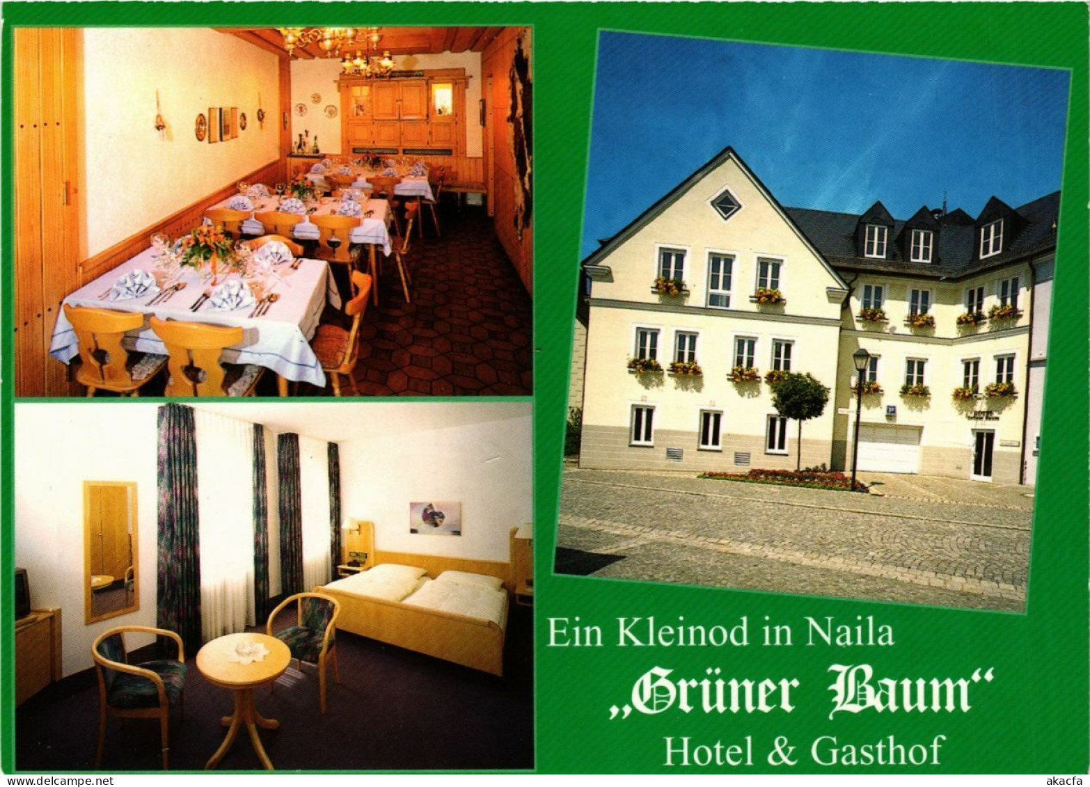 CPA AK Naila Gruner Baum Hotel & Gasthof GERMANY (878019) - Naila