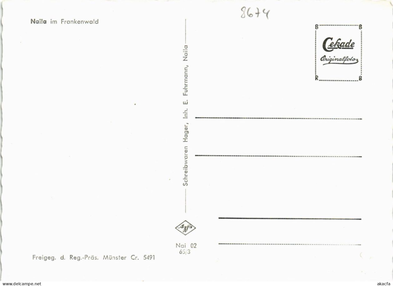 CPA AK Naila Im Frankenwald GERMANY (878015) - Naila