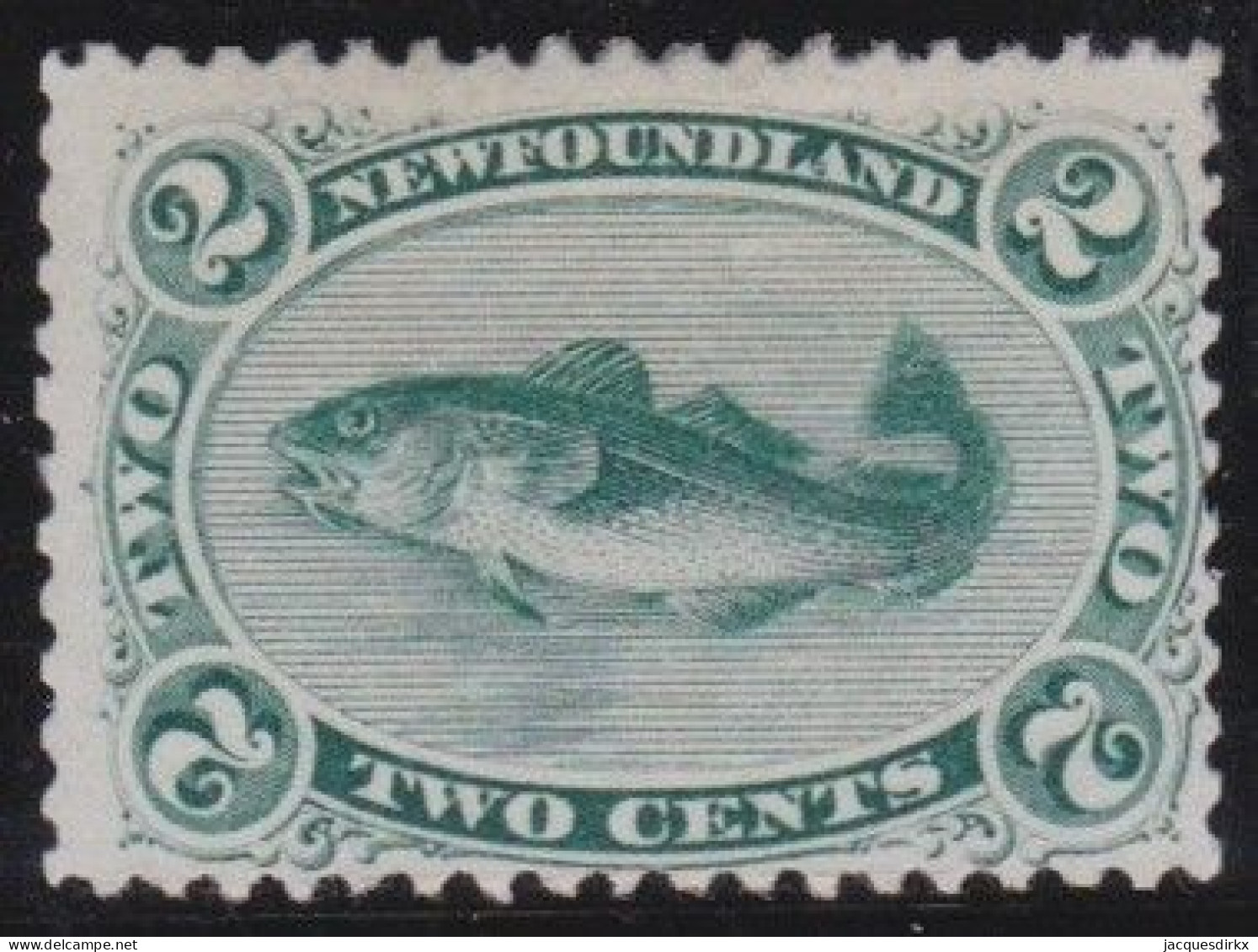 Newfoundland     .    SG    .   25  (2 Scans)      .    (*)      .     Without Gum - 1865-1902