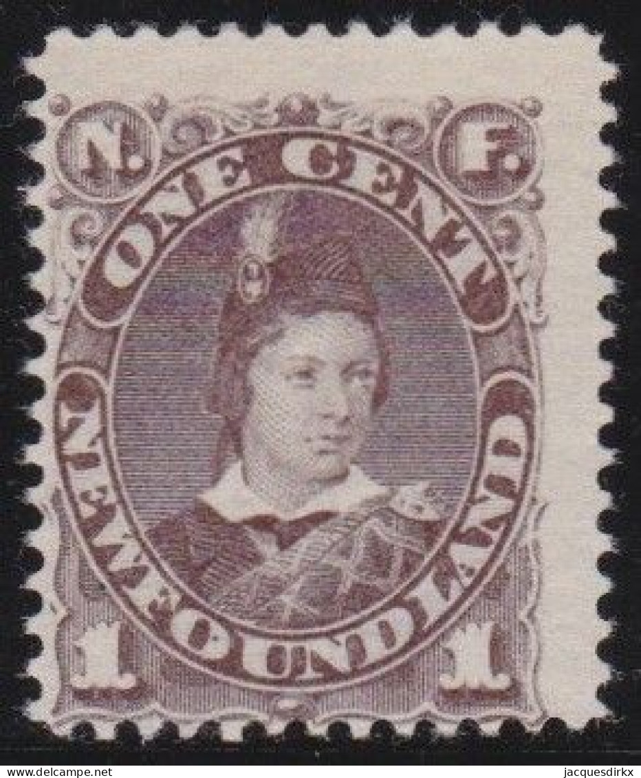 Newfoundland     .    SG    .   34  (2 Scans)      .    (*)      .     Without Gum - 1865-1902