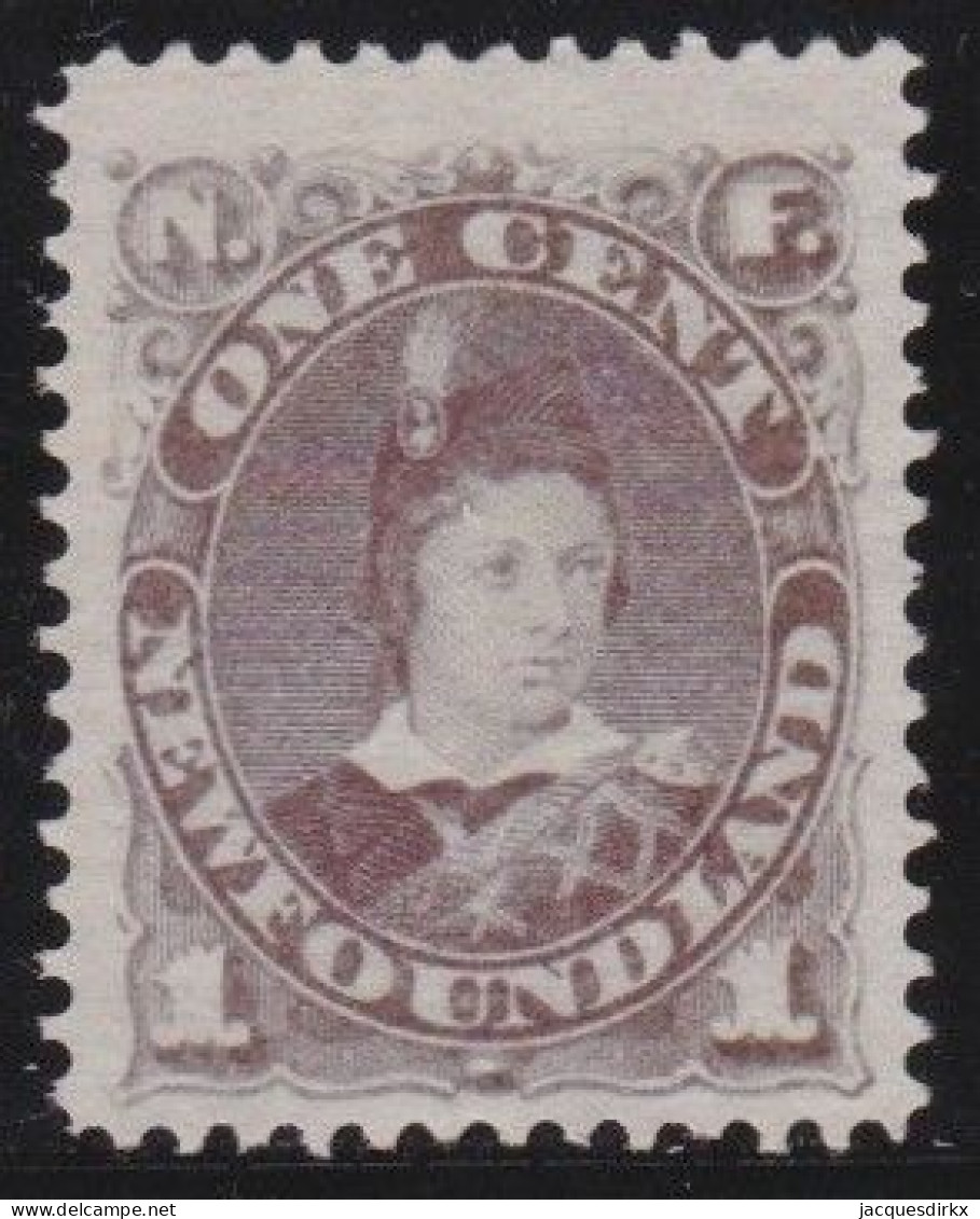 Newfoundland     .    SG    .   34  (2 Scans)      .    (*)      .     Without Gum - 1865-1902