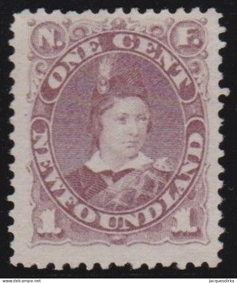 Newfoundland     .    SG    .   35  (2 Scans)      .    (*)      .     Without Gum - 1865-1902