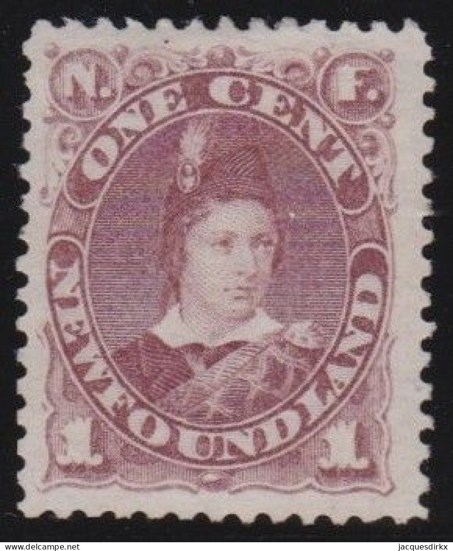 Newfoundland     .    SG    .   35  (2 Scans)      .    (*)      .     Without Gum - 1865-1902