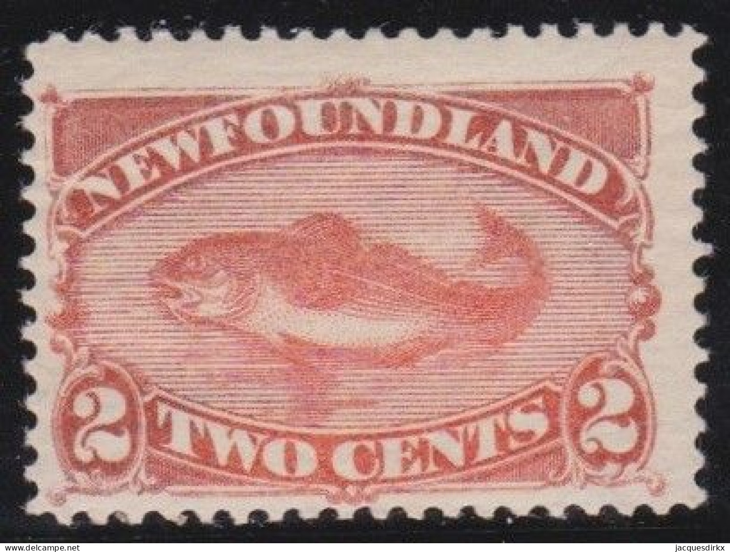 Newfoundland     .    SG    .   51     .   *     .       Mint-hinged - 1865-1902