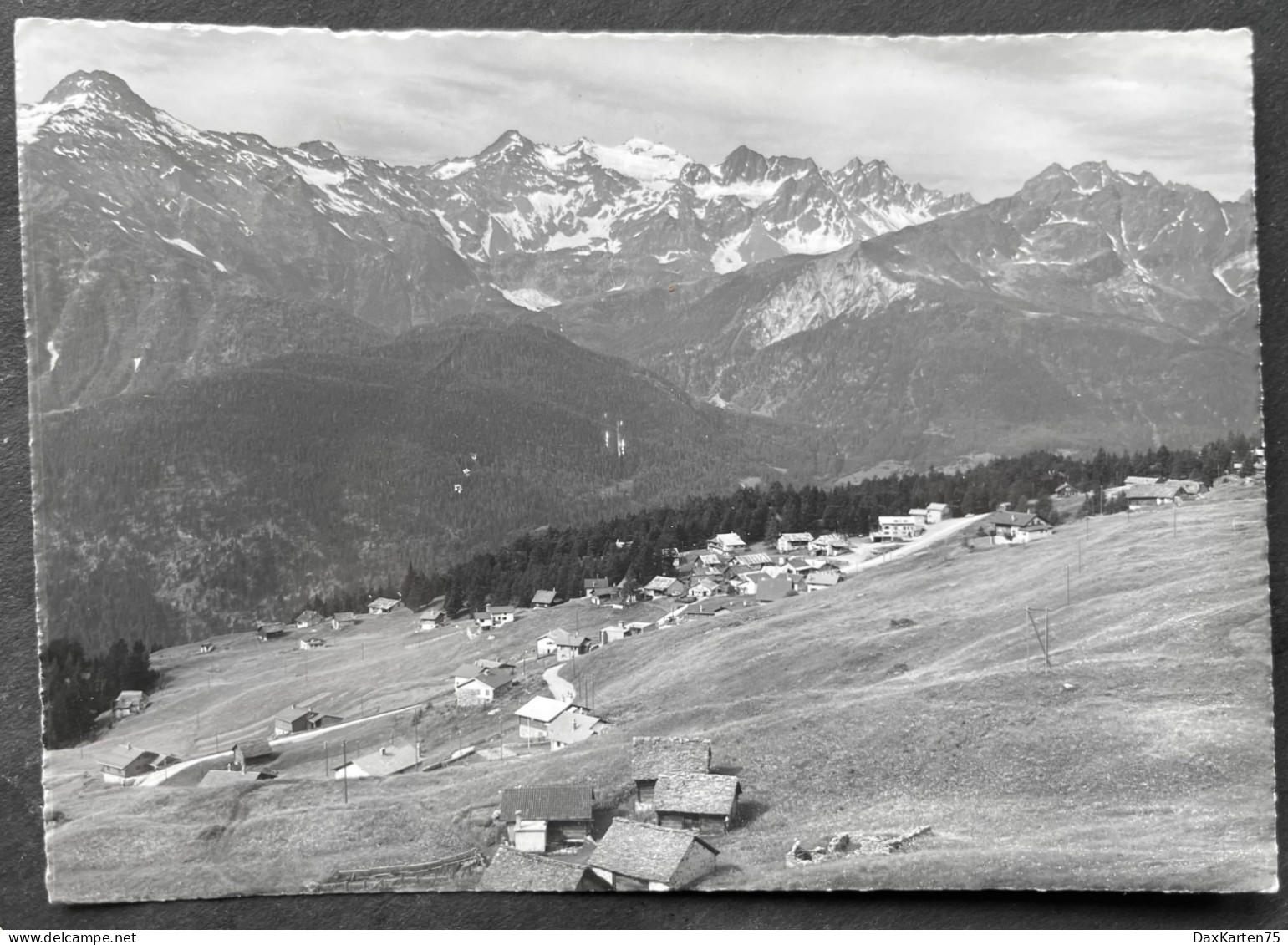 Cari- Croce Con Campo Tencia - Campo