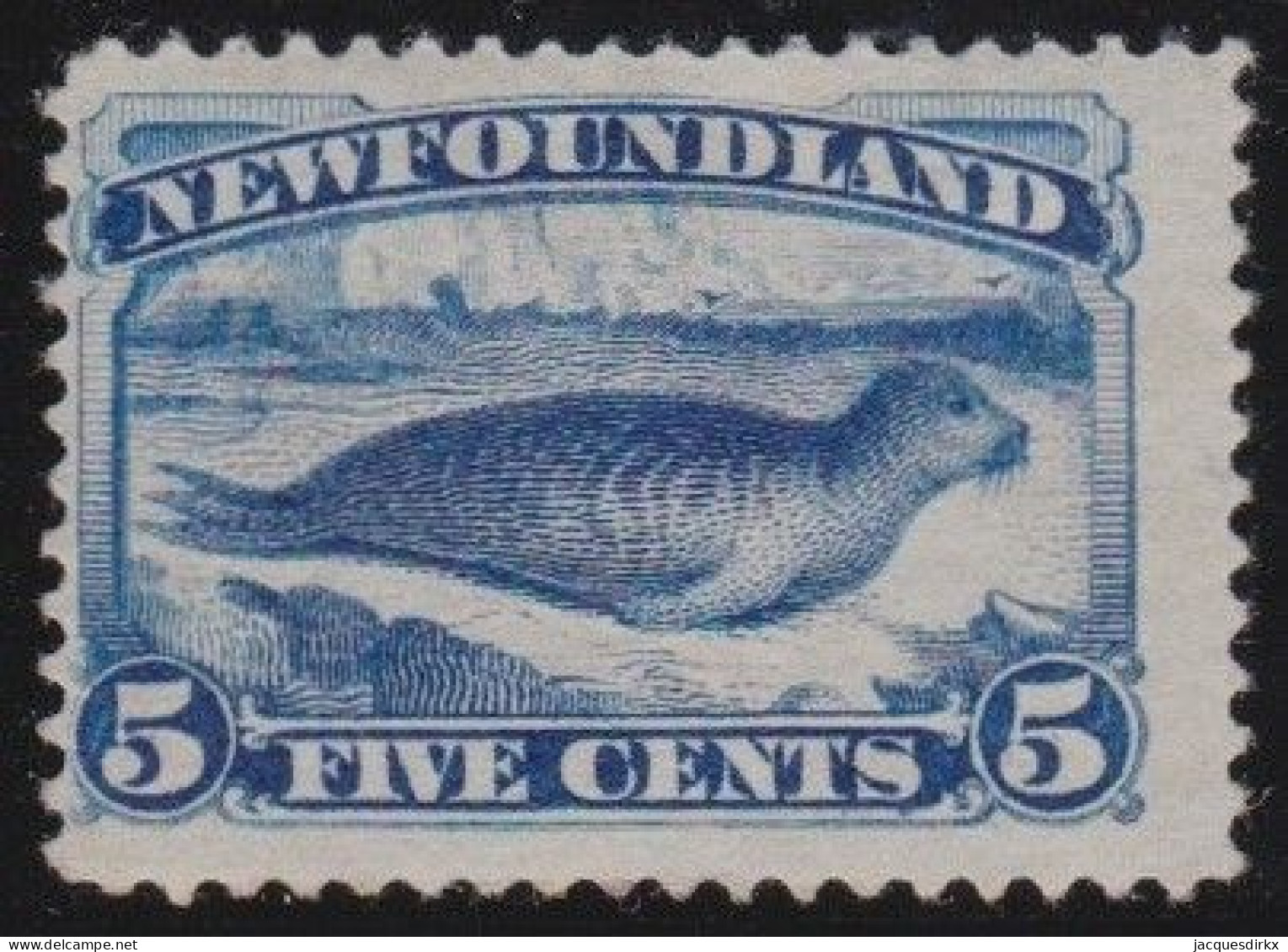 Newfoundland     .    SG    .   53  (2 Scans)     .   *     .       Mint-hinged - 1865-1902