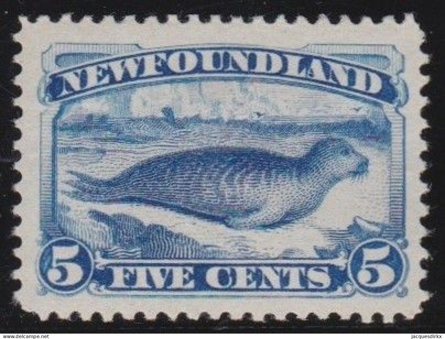 Newfoundland     .    SG    .   53  (2 Scans)     .   *     .       Mint-hinged - 1865-1902