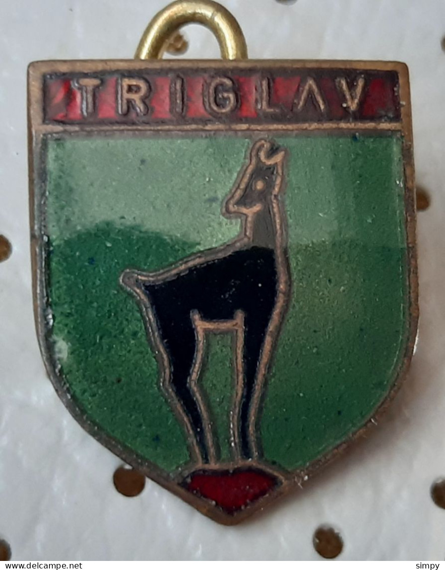 Triglav Alpinism, Mountaineering Slovenia Vintage Enamel  Pin - Alpinisme