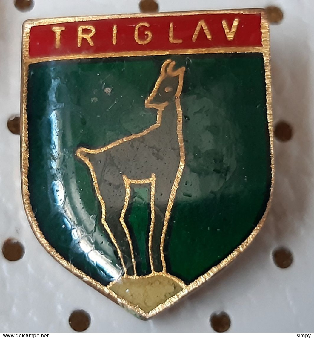 Triglav Alpinism, Mountaineering Slovenia Vintage  Pin - Alpinisme