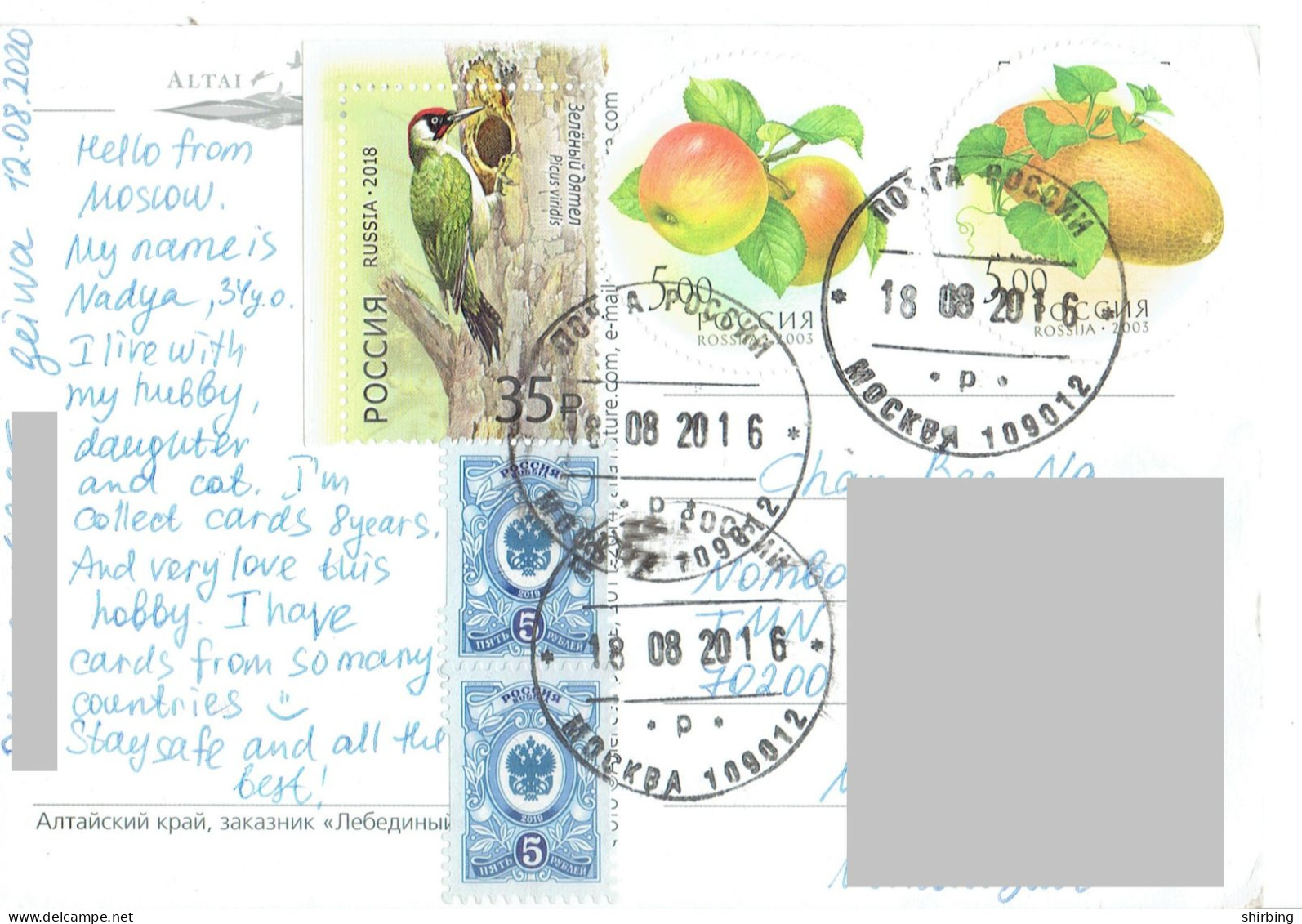 C11 : Russia -Woodpecker Bird, Apple, Potato, Stamps Used On Postcard - Cartas & Documentos