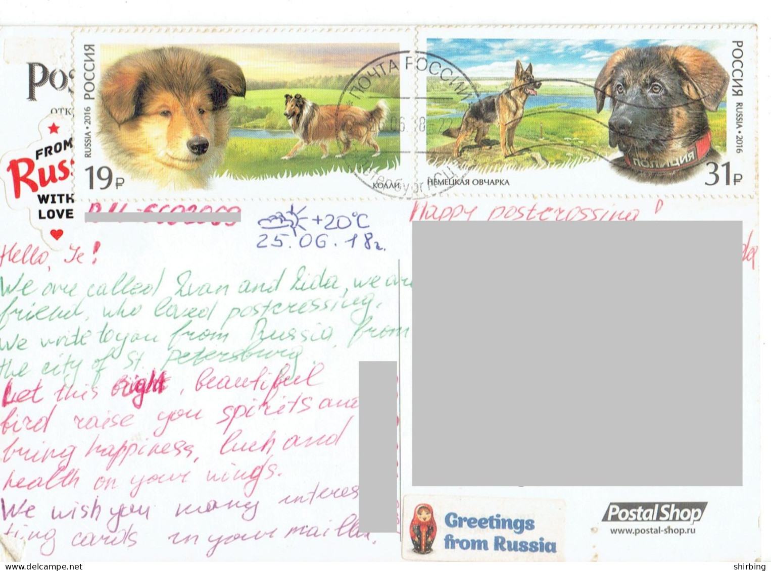 C11 : Russia - Dog, Stamps Used On Postcard - Briefe U. Dokumente