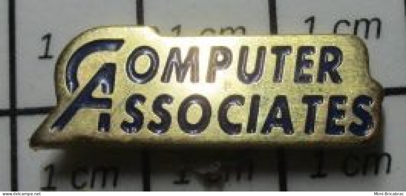 821 Pin's Pins / Beau Et Rare / INFORMATIQUE / COMPUTER ASSOCIATES - Informatique