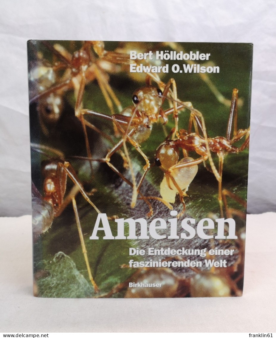 Ameisen. Die Entdeckung Einer Faszinierenden Welt. - Lessico