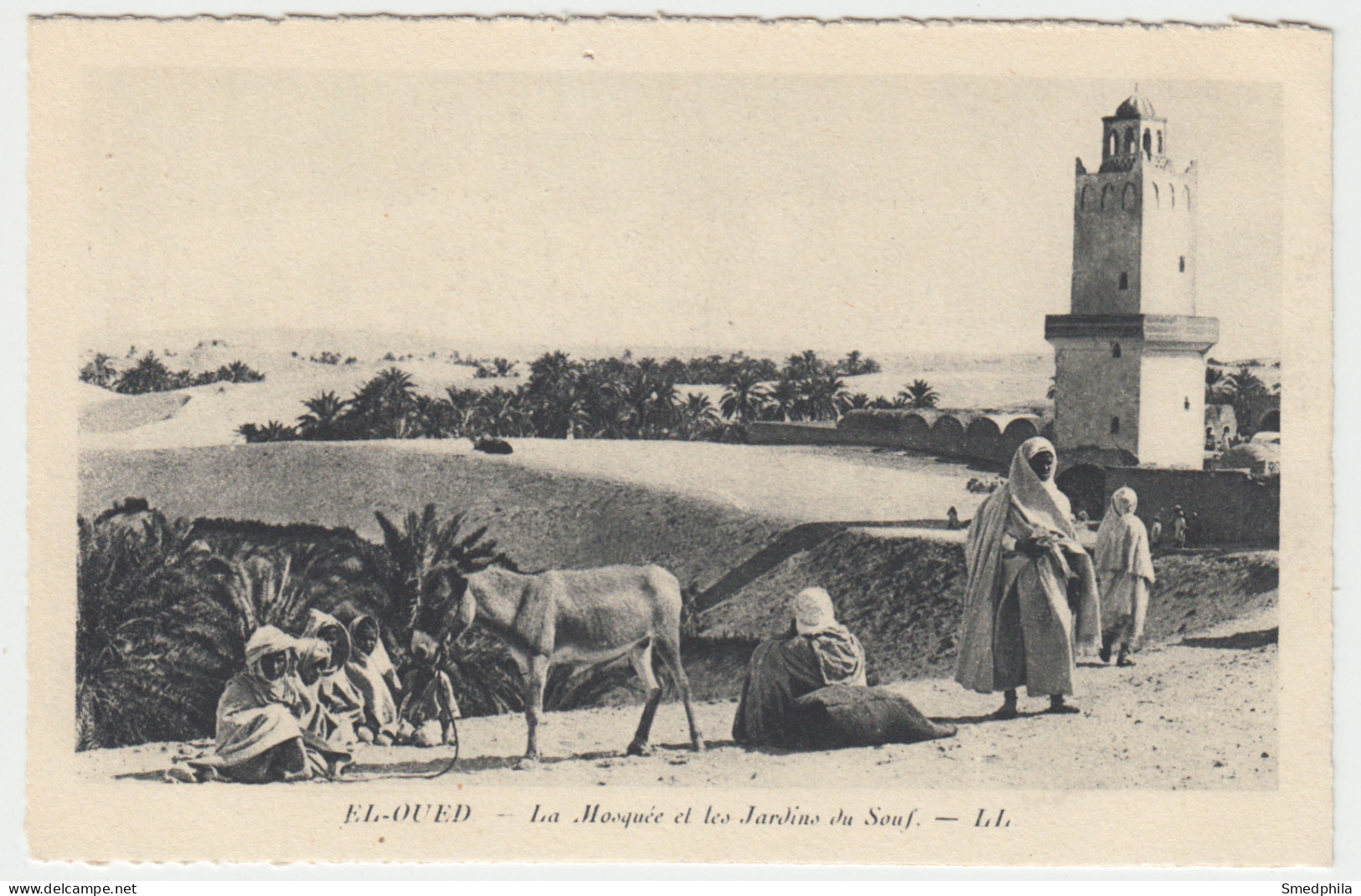 El-Oued - La Mosquee Et Les Jardins Du Souf - El-Oued