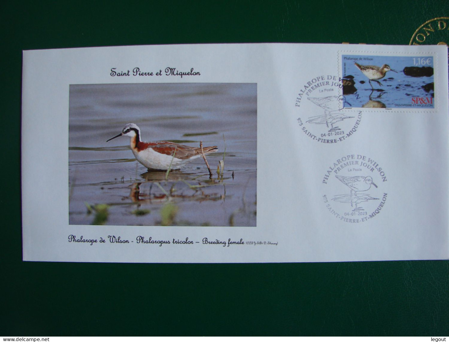 SPM/SAINT PIERRE ET MIQUELON FDC OISEAU PHALAROPE DE WILSON - FDC