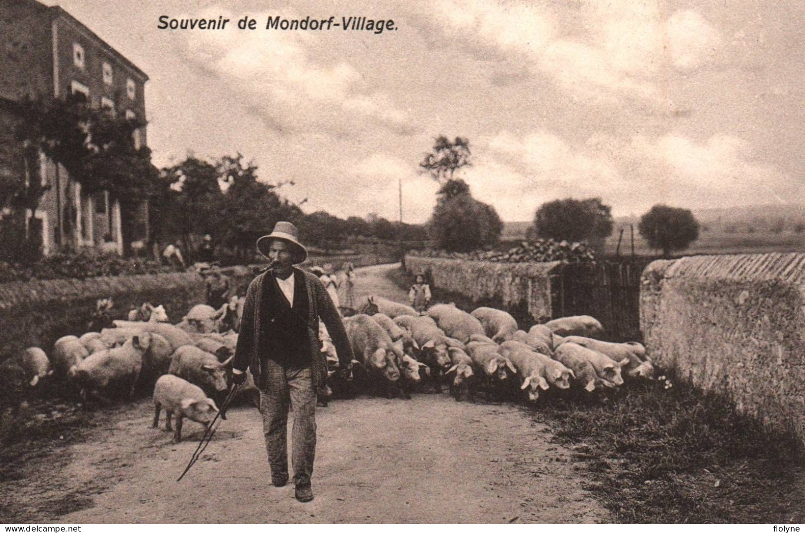 Mondorf Village - Souvenir Du Village - Berger Troupeau De Cochons - Agriculture - Luxembourg - Bad Mondorf