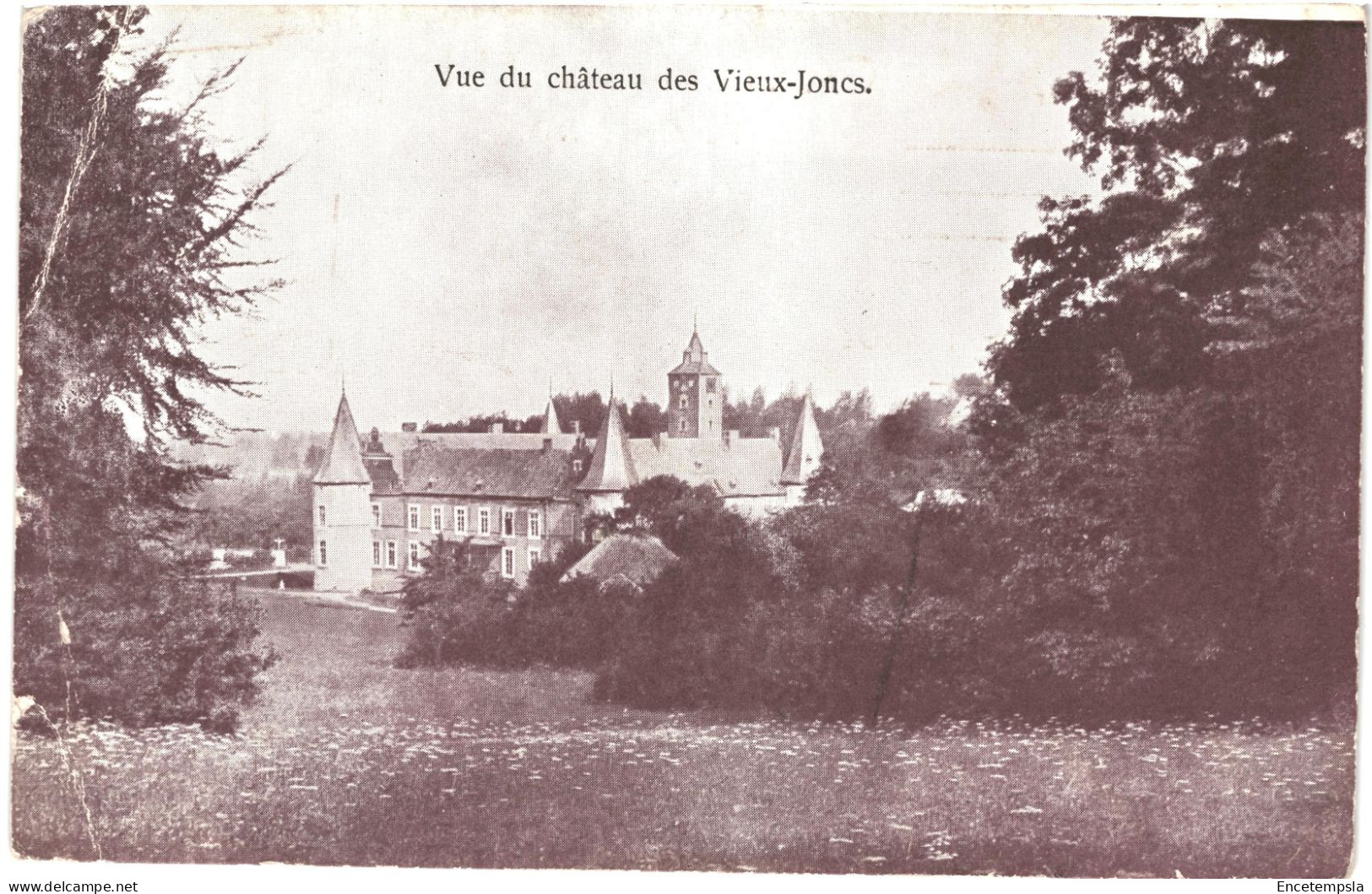 CPA Carte Postale  Belgique Rijckhoven-lez-Bilsen - Château Des Vieux Joncs VM67187 - Bilzen