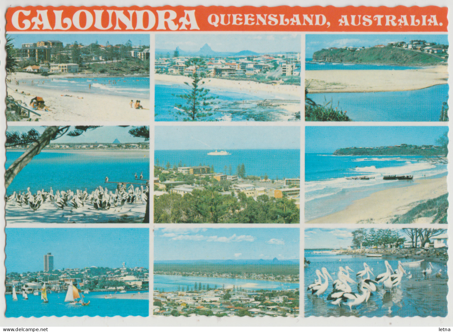 Australia QUEENSLAND QLD Beach Coastal Pelican Multiviews CALOUNDRA Kuskopf 165 Postcard C1970s - Sunshine Coast