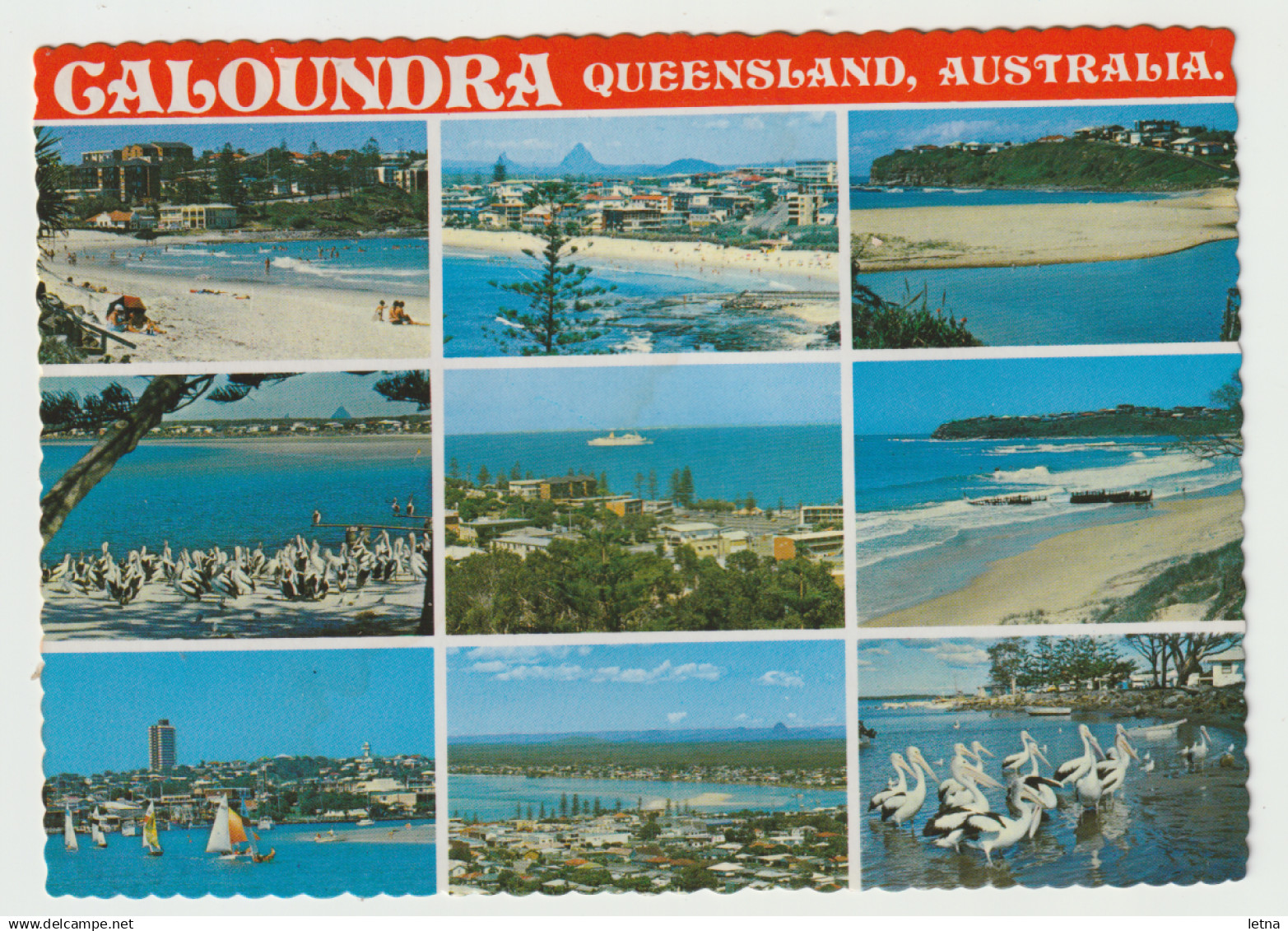 Australia QUEENSLAND QLD Beach Coastal Pelican Multiviews CALOUNDRA Kuskopf 165 Postcard C1970s - Sunshine Coast