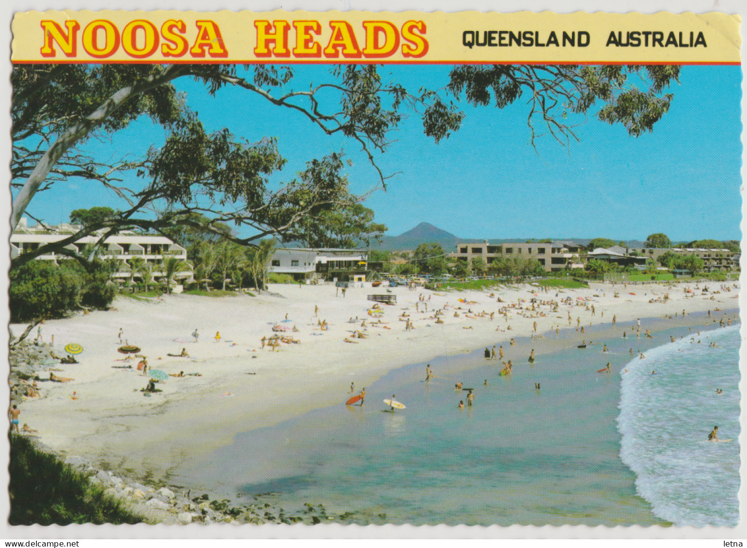 Australia QUEENSLAND QLD Surfing Beach NOOSA HEADS Sunshine Coast Kuskopf 250 Postcard C1970s - Sunshine Coast