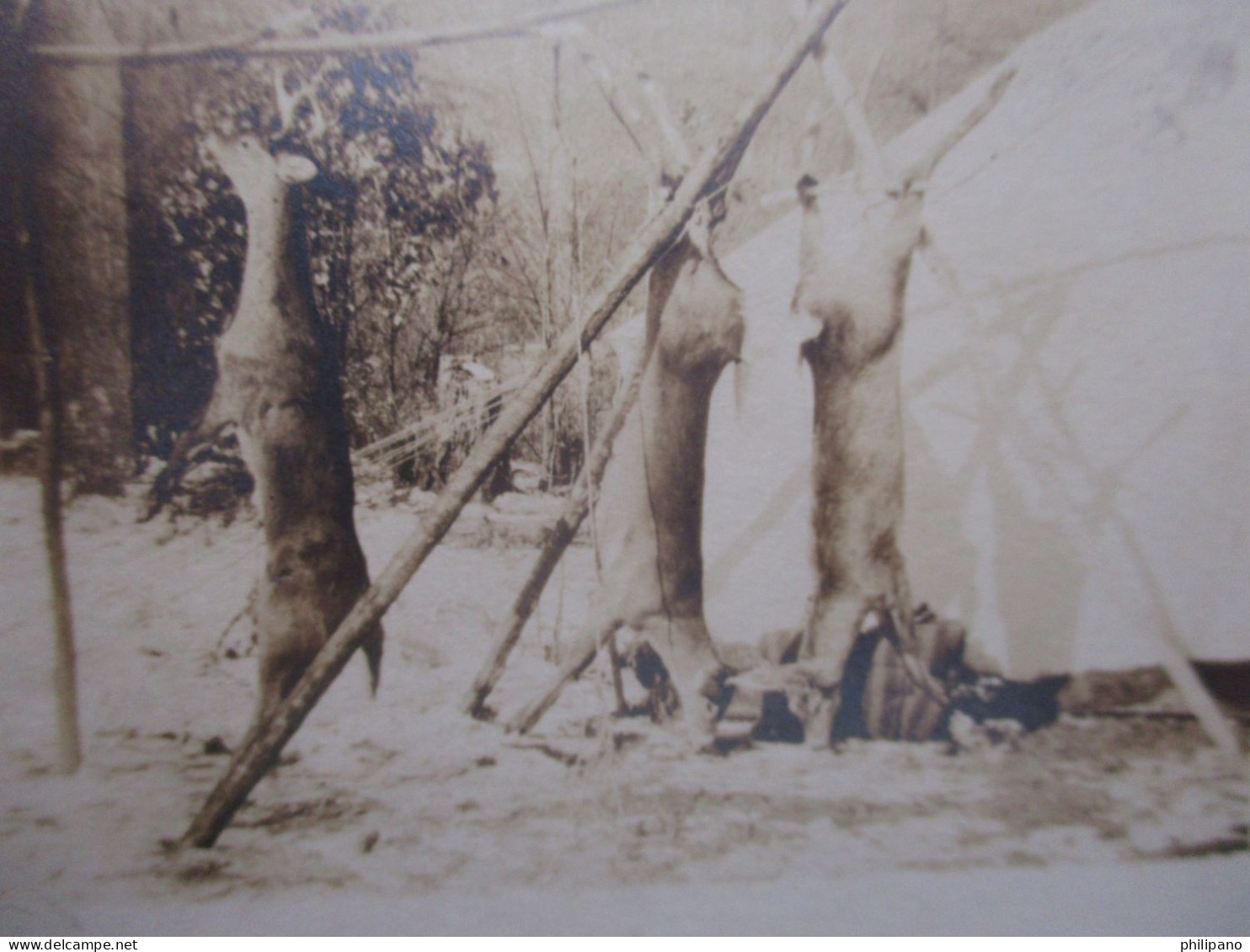 RPPC Deer Hanging By Tent.   Hunting    Ref 6042 - Chasse