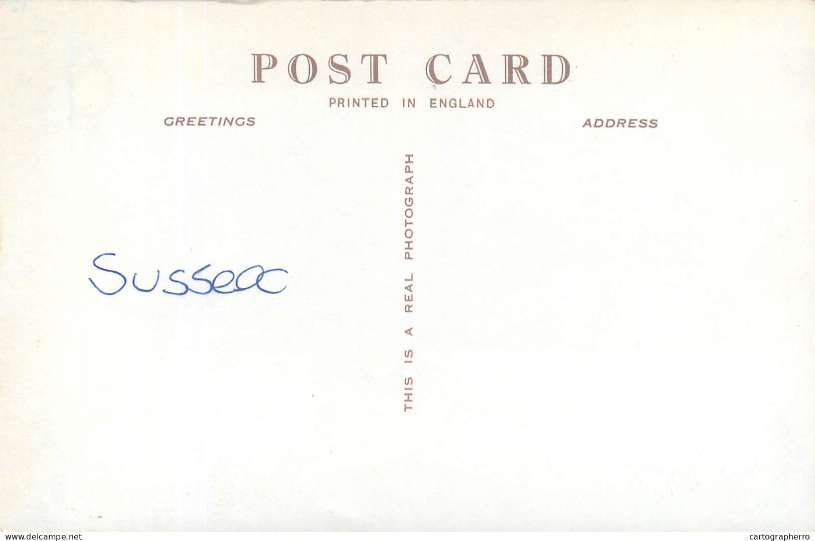 Postcard United Kingdom England Arundel Castle And River - Arundel