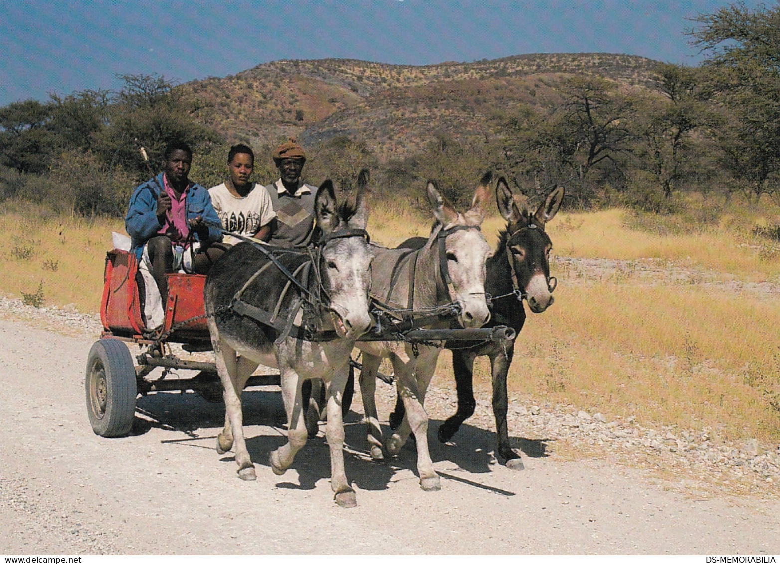 Namibia - Donkey Cart  - Namibie