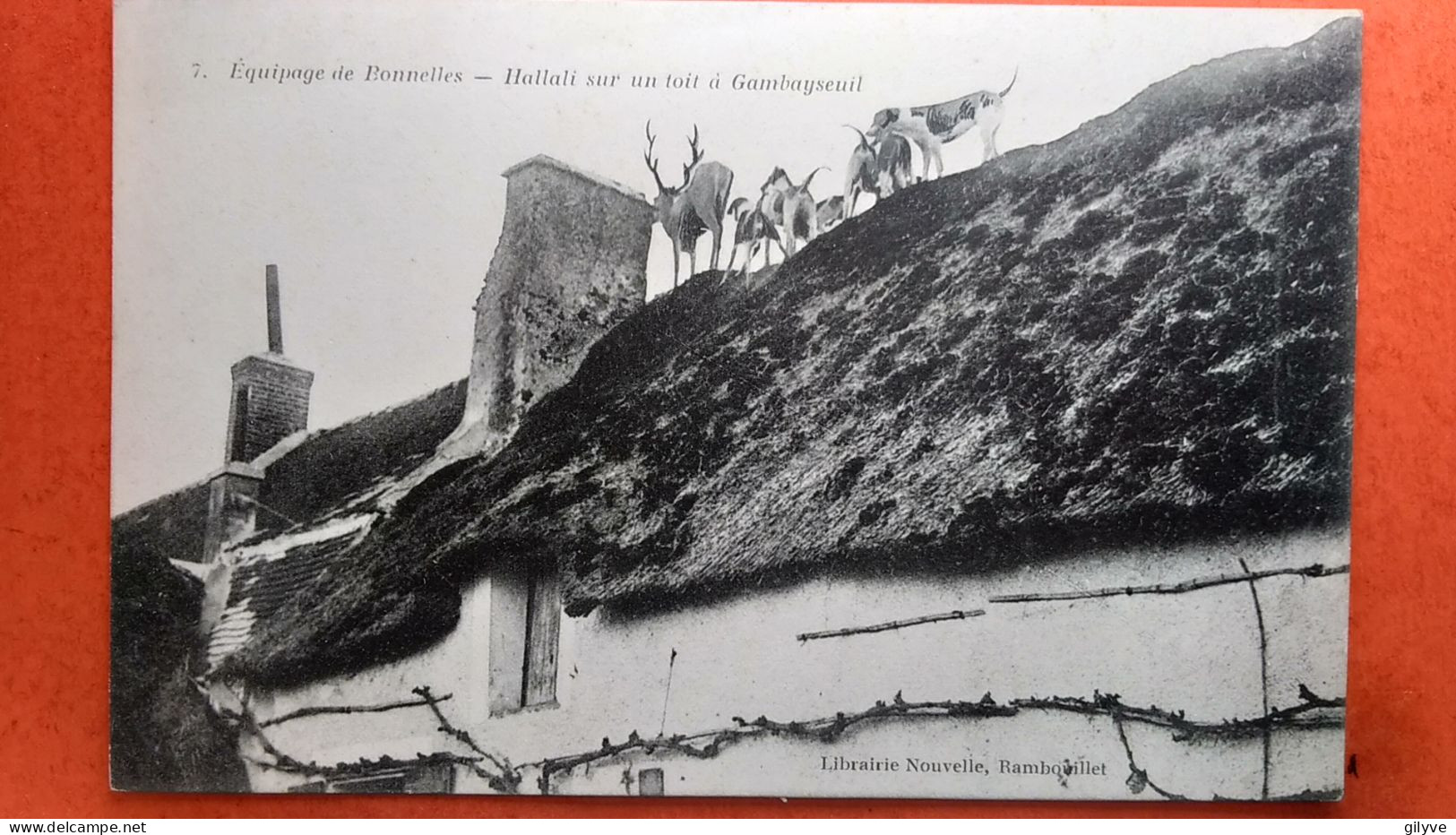 CPA. Equipage De Bonnelles Hallali Sur Un Toit à Gambayseuil.  (AF.082) - Chasse