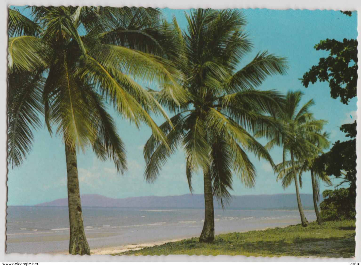 Australia QUEENSLAND QLD Coconut Palm Lined Beach Murray Views W529 Postcard C1970s - Other & Unclassified
