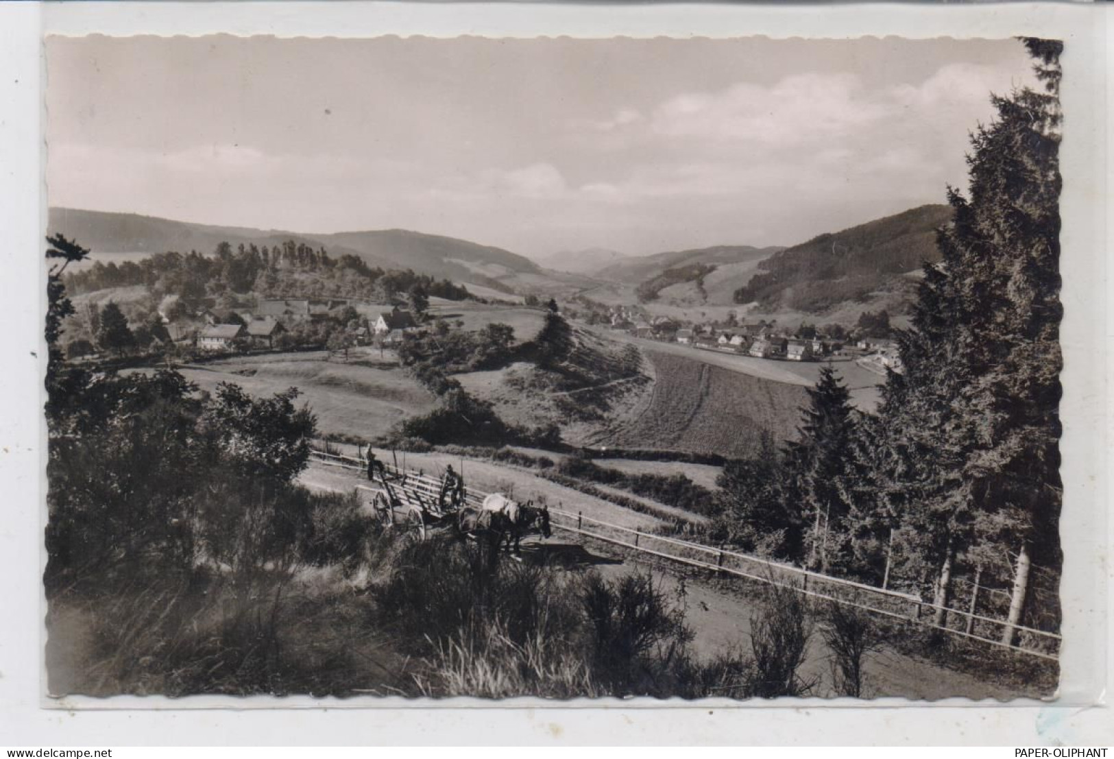 5940 LENNESTADT - OEDINGEN, Blick Auf Den Ort, Fuhrwerk, 1957 - Lennestadt