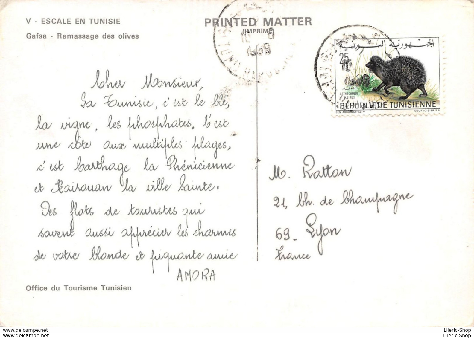 AMORA Prospection - ESCALE EN TUNISIE Gafsa - Ramassage Des Olives Timbrée Oblitérée 1969  - Werbepostkarten