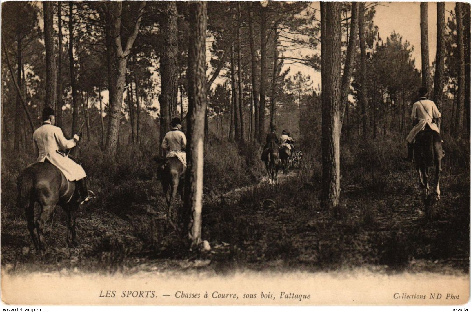 PC CHASSE A COURRE SOUS BOIS L'ATTAQUE HUNTING SPORT (a34999) - Chasse