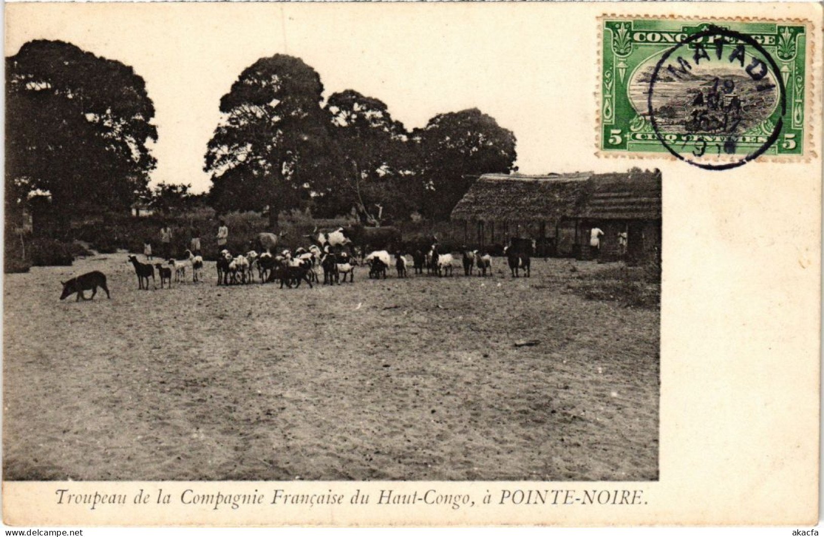 PC POINTE-NOIRE TROUPEAU DE LA CIE FR DU HAUT-CONGO FRENCH CONGO (a35779) - Pointe-Noire