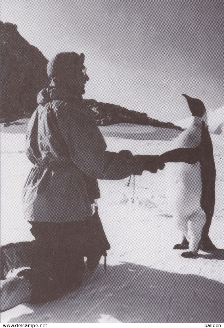 TAAF - Terre Adélie - L'homme Et L'Empereur - EPF - TAAF : Terres Australes Antarctiques Françaises