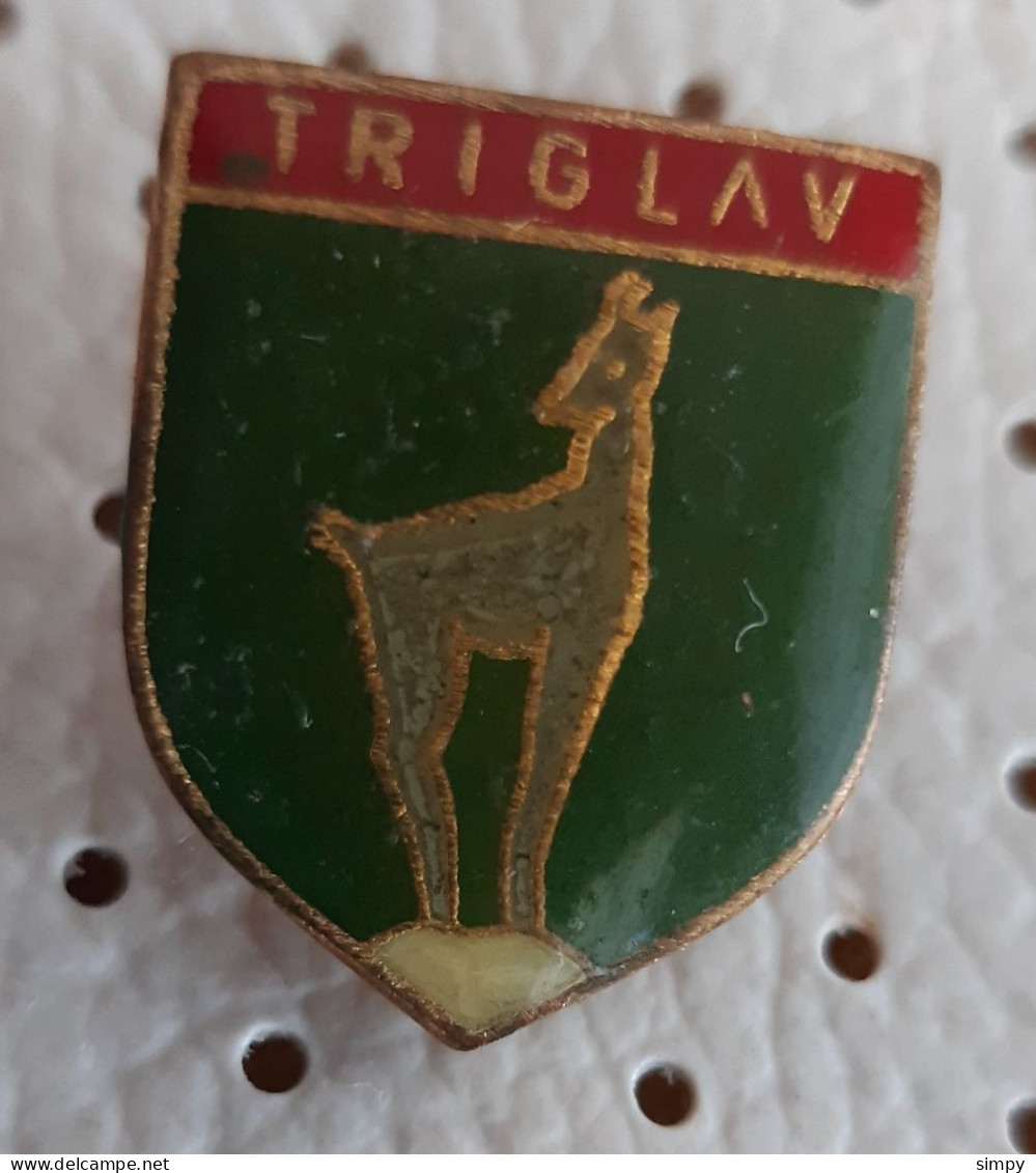 Triglav Alpinism, Mountaineering Slovenia Vintage  Pin - Alpinismus, Bergsteigen