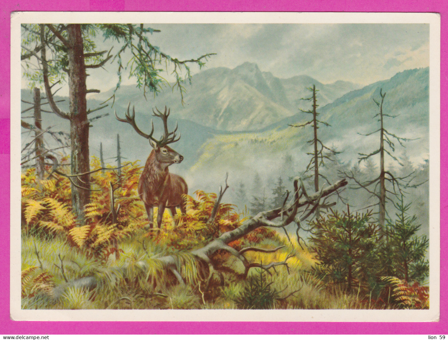 291639 / Russia Painter Art ?? Mountain Forest The Red Deer (Cervus Elaphus) Male (stag) PC USSR Russie Russland - Collections & Lots