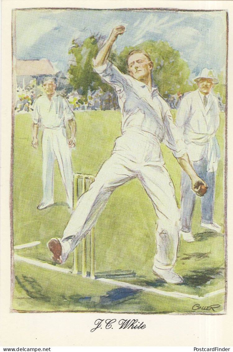 John Cornish White Somerset England Cricket Painting Postcard - Cricket