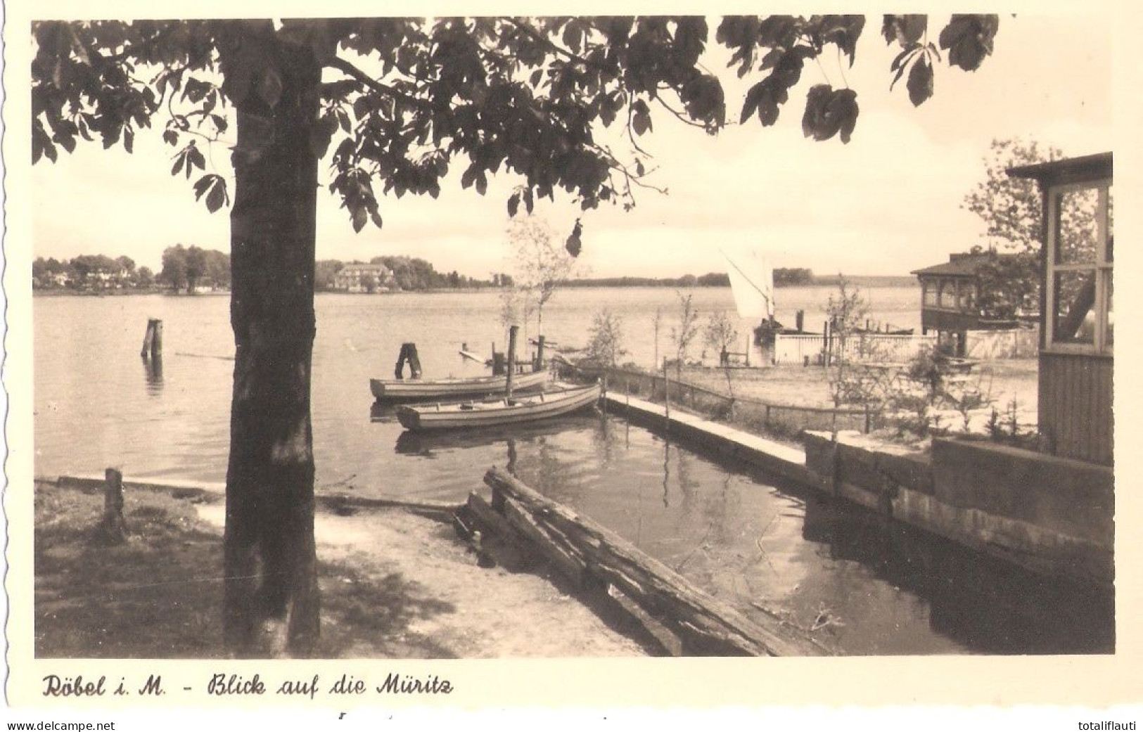 RÖBEL An Der Müritz Mecklenburg Hafenidylle Sportboot Echtfotokarte TOP-Erhaltung Ungelaufen - Röbel