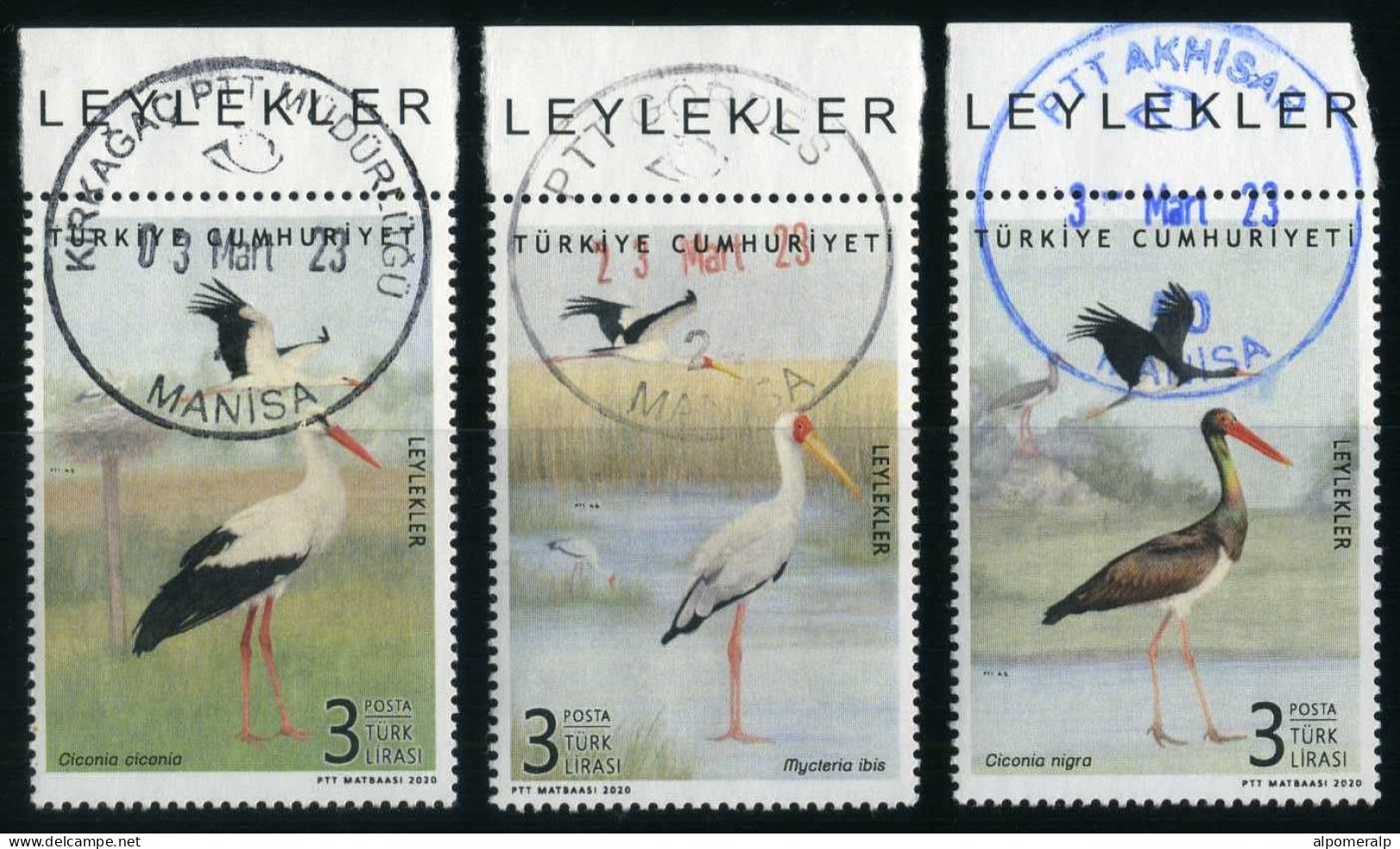 Türkiye 2020 Mi 4597-4599 Storks: White Stork, Yellow-Billed Stork, Black Stork, Birds, Animals (Fauna) - Used Stamps