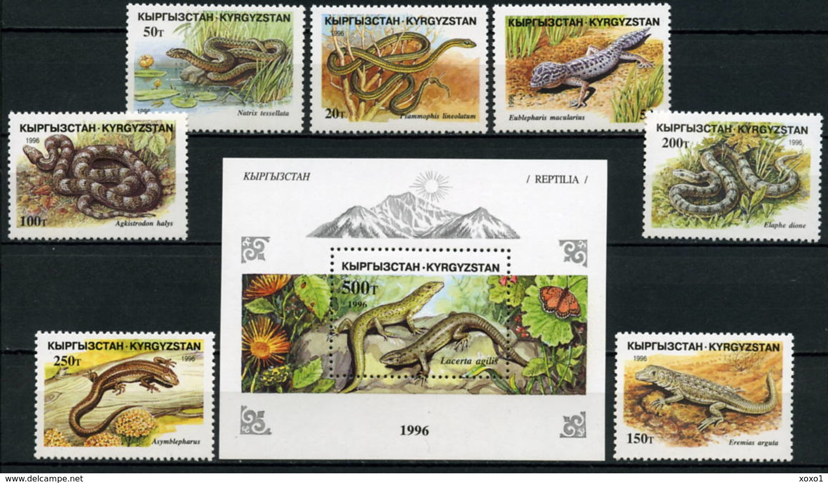 Kyrgyzstan 1996 Mi.No. 107 - 113 Block 16 Kirgisien Reptiles, Snakes 7v+1bl MNH** 5,50 € - Serpents
