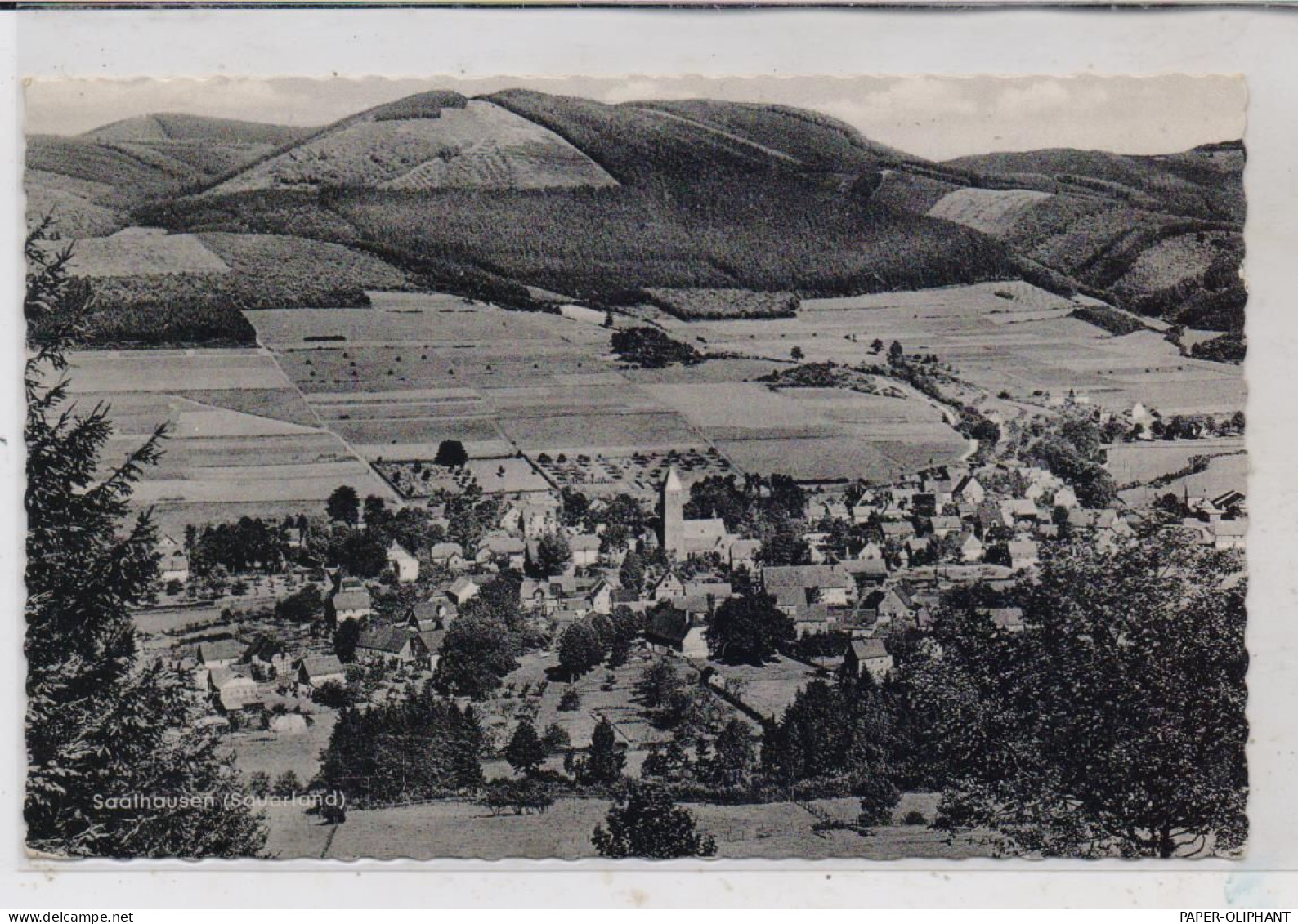 5940 LENNESTADT - SAALHAUSEN, Blick Auf Den Ort, 1964 - Lennestadt