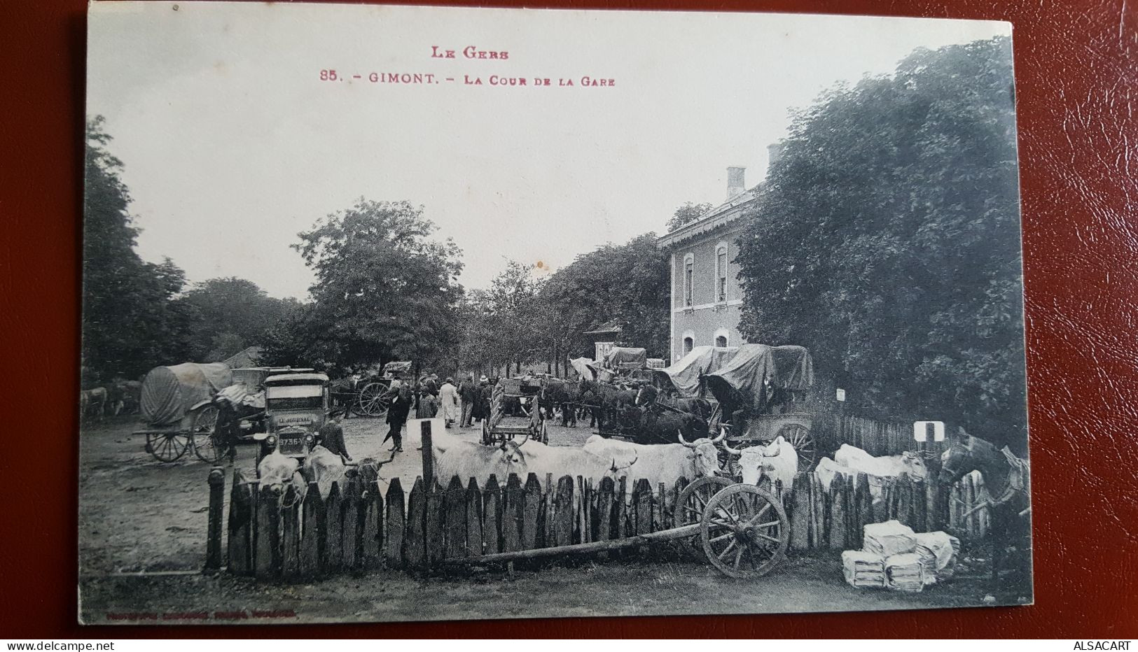 Gimont , La Cour De La Gare, Bétail - Otros & Sin Clasificación