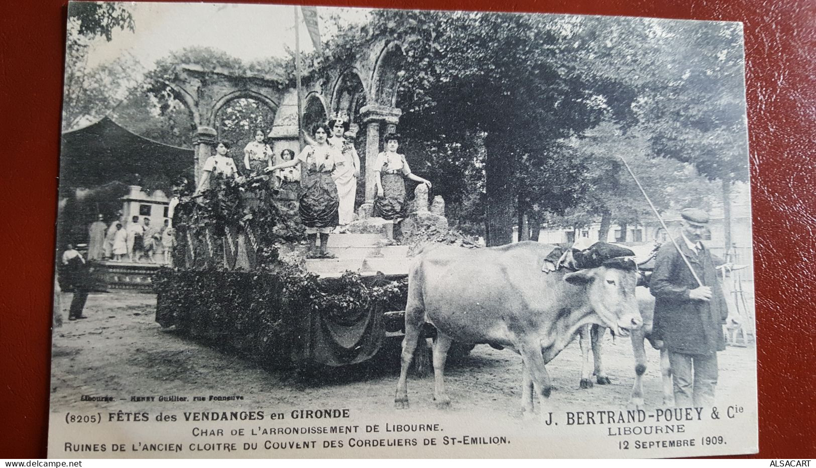 Fetes Des Vendanges En Gironde , Char Attelage De Boeuf , J Bertrand -pouet Libourne 1909 - Libourne